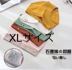 XL サイズ新色レディース ショーツ コットンショーツ5枚セット