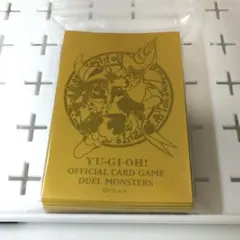 【匿名配送】遊戯王-ブラック・マジシャン・ガール 師弟スリーブ　55枚セット