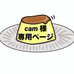 激レア 応援グッズフルセット ダイエーホークスファンクラブ限定 骨董品【超希少】