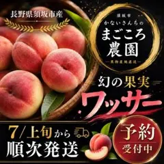 長野産ワッサー箱入り13キロ高瀬さん専用 長野産ワッサー箱入り13キロ 高瀬さん専用 - メルカリ