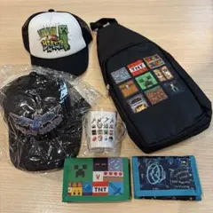 新品　マイクラ　ボディバッグ　財布　子供　キャップ　帽子　コップ