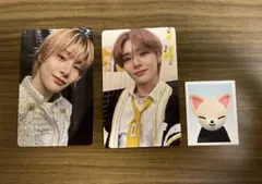 straykids TOYWORLD 封入トレカ&ZOO IDフォト　アイエン