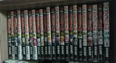 双星の陰陽師1〜24巻 + 小説４冊 + スピンオフ１冊