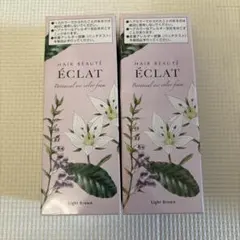 ヘアボーテ エクラ ボタニカル エアカラーフォーム ライトブラウン 2本のサムネイル
