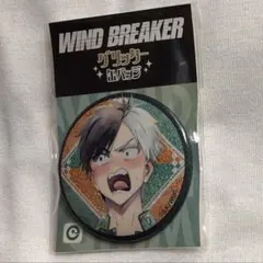 2026年最新】WIND BREAKER 桜遥 缶バッジの人気アイテム - メルカリ