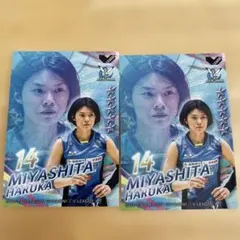 2026年最新】岡山シーガルズの人気アイテム - メルカリ