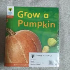 Oxford Reading Tree Phonics 6冊セット☘️英語教材