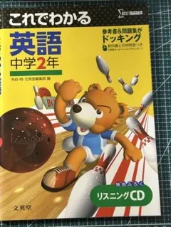 あんちゃん様 リクエスト 2点 まとめ商品