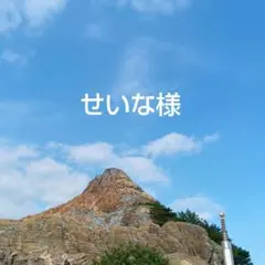 2026年最新】バラ売り…不可…。の人気アイテム - メルカリ