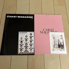 セブチ　会報誌　FC seventeen