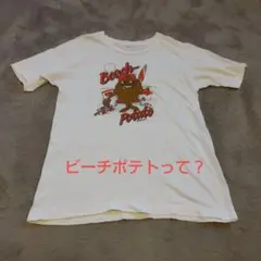 USA製80s-90s シングルステッチ