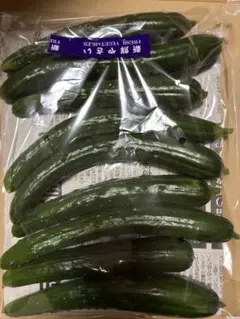 新鮮なきゅうり 複数本　ネコポスいっぱい　無農薬野菜　本日夕方収穫したきゅうりのサムネイル