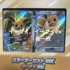 イーブイ スターターセット 020/019 AR ポケモンカード - メルカリ
