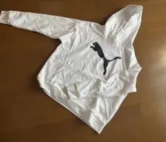 Item thumbnail for item 92e7f414-7e75-4483-ada5-85c3a4c6180d