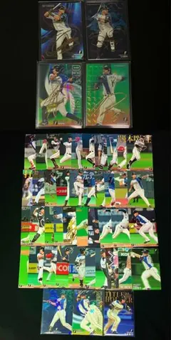 【北海道日本ハムファイターズ】プロ野球チップスカード ①