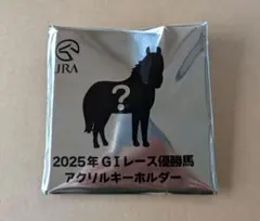 2025年GIレース優勝馬アクリルキーホルダー