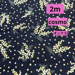 cosmo★オックス★ミモザ★ネイビー★ラスト4枚