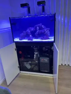 2026年最新】Red Seaの人気アイテム - メルカリ