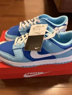 Nike Dunk Low Retro QS 