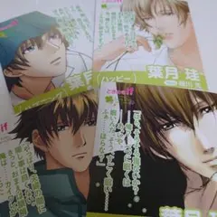 ときめきメモリアルGS 葉月珪 カード セット ときメモGS ②