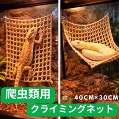 815 爬虫類 クライミングネット 40×30cm 吸盤固定 ケージ 壁面のサムネイル