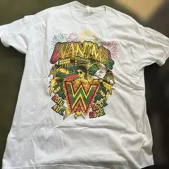 WANNIMA Tシャツ Lサイズ　エビバデツアー