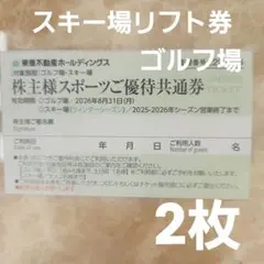 スポーツご優待共通券 スキー場リフト券 東急不動産ホールディングス 2枚