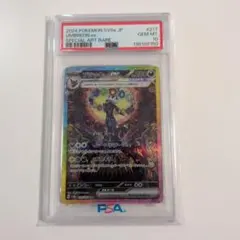 V*B様 ブラッキーex SAR SV8a テラスタルフェスex PSA10