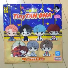 タイニータン　一番くじ　BTS  DNA