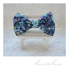 Item thumbnail for item 20e5693f-e279-4d15-8af4-2ed47560e19a