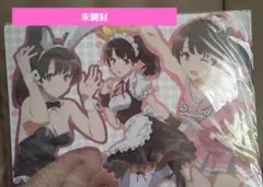 Item thumbnail for item f996d718-e6c8-4290-95d5-3e8be79e1093