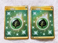 ポケモンカード 基本くさエネルギー UR 2枚セット