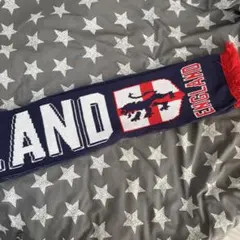 現地購入 新品 ブライトン サッカーマフラー Brighton フーリガン 完売