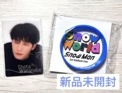 SnowMan SnowWorld ラバーバンド　チラ見カード　渡辺翔太