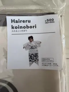 Haireru koinobori 入れるこいのぼり 3COINSのサムネイル