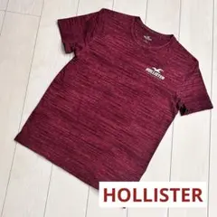 【お値下げ❗️】Hollister ホリスター　Tシャツ メンズ　クルーネック　Mのサムネイル
