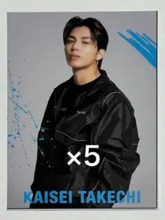 THE RAMPAGE ランペ 武知海青 カード 5枚セット