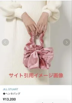 ジルスチュアート　ヘンネバッグ