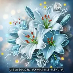 ダイヤモンドアート（特殊ビーズ）30×30 - メルカリ