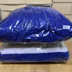 2025年最新】トゥルースリーパー低反発座布団の人気アイテム - メルカリ