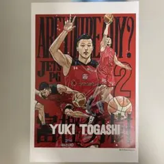 千葉ジェッツ 富樫勇樹 ポストカード