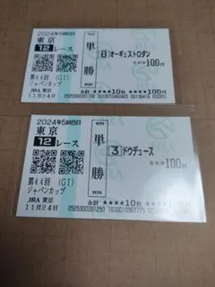 現地購入単勝馬券　アドマイヤベガ　エリカ賞　ラミネート加工済み アドマイヤグルーヴ エリカ賞 2002年 現地的中単勝馬券 ☆ 競馬 馬券