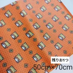 鬼滅の刃　我妻善逸生地　50cm×70cm