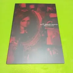 Acid Black Cherry 2015 arena tour パンフレット