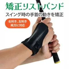 Item thumbnail for item 21caaa7d-e03a-45b1-83a6-587d4c46639d