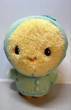 2026年最新】テミン ぬいぐるみの人気アイテム - メルカリ
