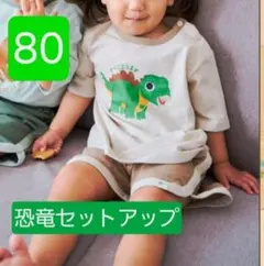 ポケユニ　恐竜セットアップ　Tシャツ&短パン　ステゴサウルス柄　80サイズ