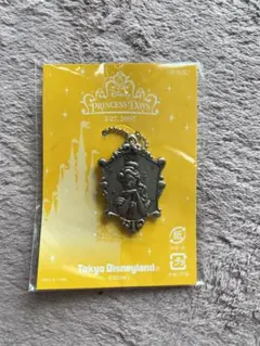 ディズニーDisneyプリンセス美女と野獣ベル非売品チャーム限定レアコレクション