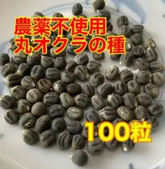 おごさん様 リクエスト 2点 まとめ商品