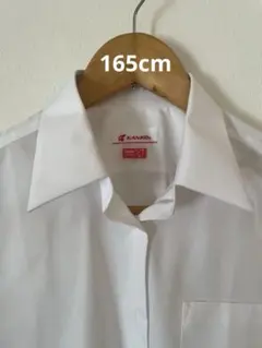 Item thumbnail for item e393f633-3509-4765-906a-b560afebf436